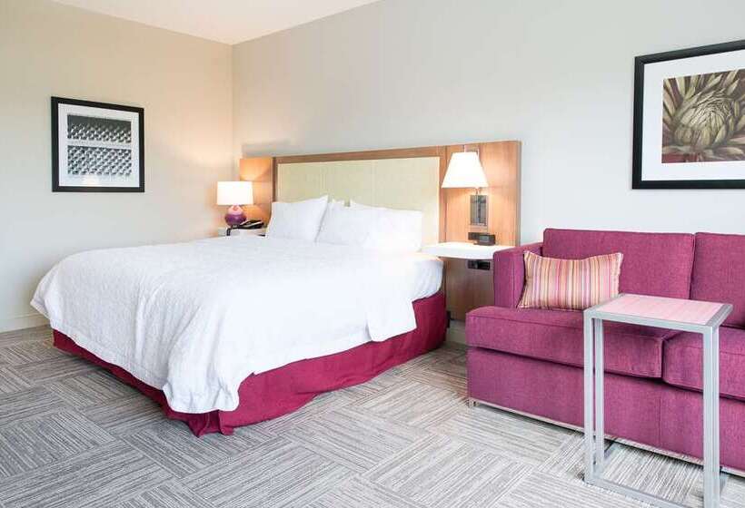 Номер Стандарт, Hampton Inn & Suites D'iberville Biloxi