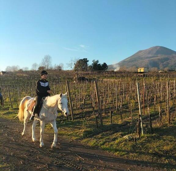 Студио Стандарт с Видом, Vesuvio Inn Bed & Wine Experience