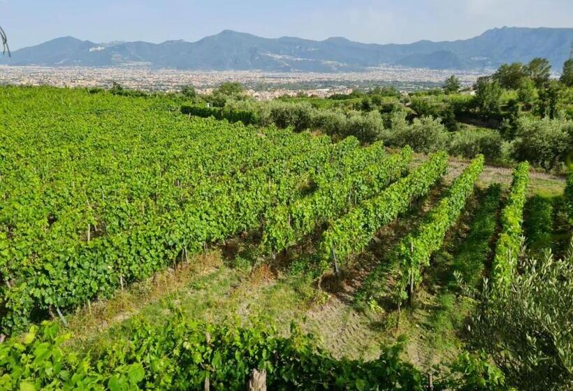 Полулюкс Повышенной Комфортности, Vesuvio Inn Bed & Wine Experience