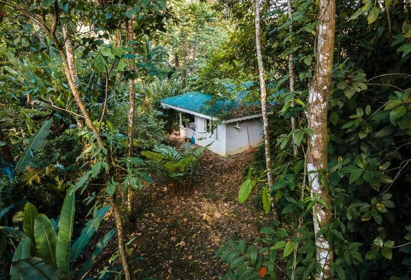 Вилла 1 Спальня, Colina Secreta   Glamping And Villas