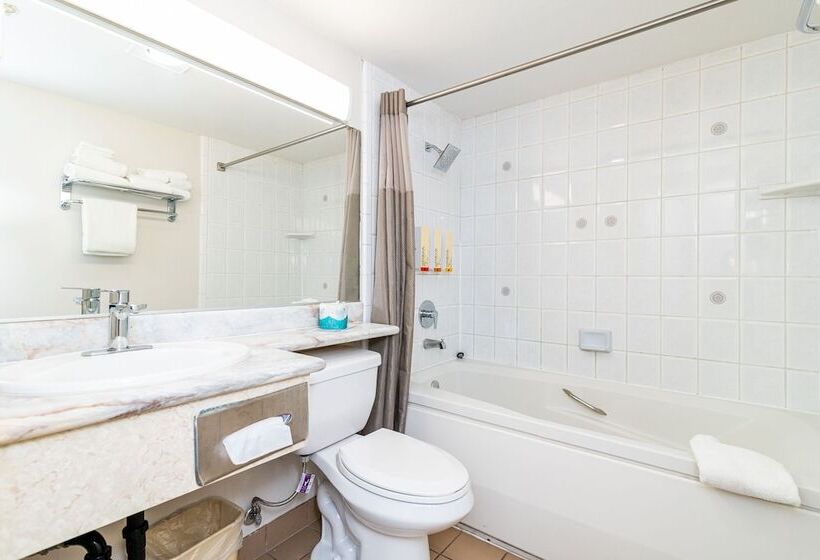 Quarto Estandar 2 Camas Casal, Art Hotel Laguna Beach