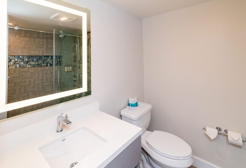 Quarto Estandar 2 Camas Casal, Art Hotel Laguna Beach