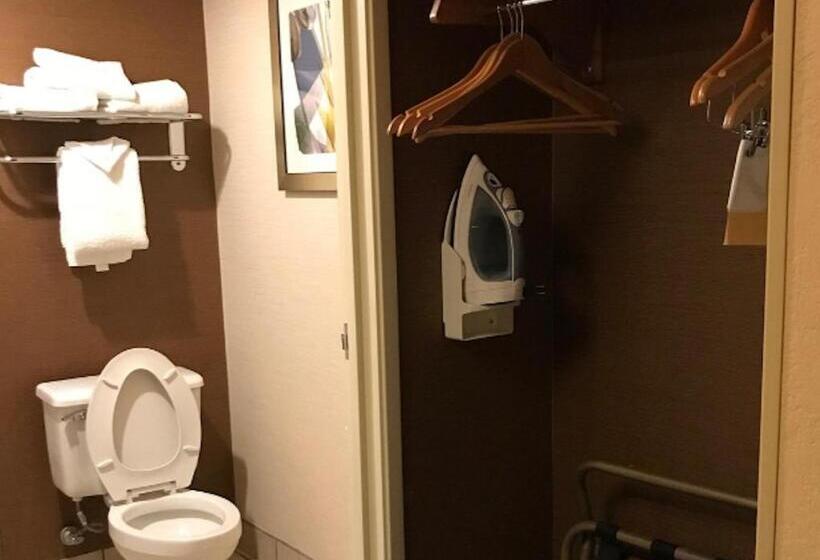 장애인을 위한 킹사이즈 침대 스탠다드 룸, Country Inn & Suites By Radisson, Phoenix Airport, Az