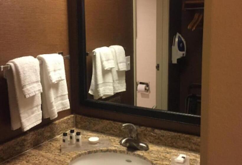 스탠다드 룸 킹사이즈 침대, Country Inn & Suites By Radisson, Phoenix Airport, Az