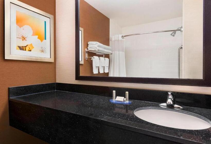 Номер Стандарт, Fairfield Inn & Suites By Marriott Mankato