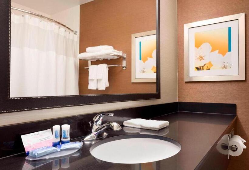 Номер Стандарт Кровать Кинг Адаптированный для Инвалидов, Fairfield Inn & Suites Waco South