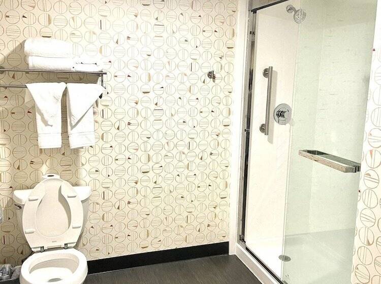 Номер Стандарт, Holiday Inn Spartanburg Northwest