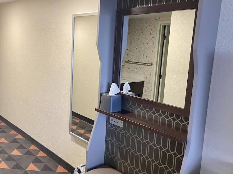 Номер Стандарт, Holiday Inn Spartanburg Northwest