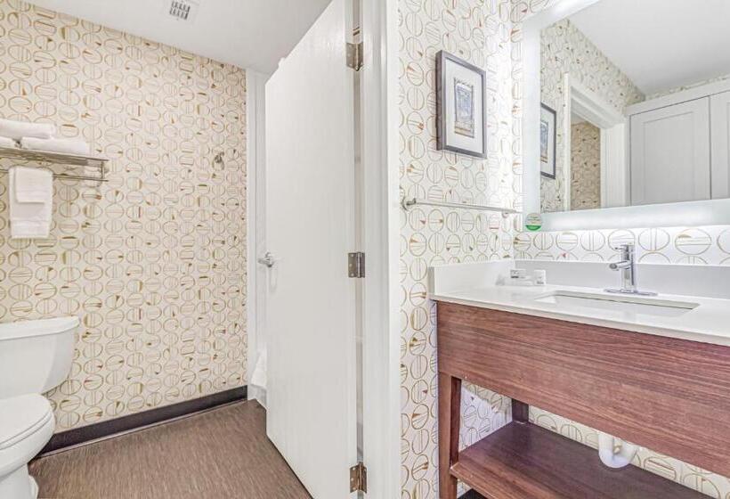 Номер Стандарт, Holiday Inn Spartanburg Northwest