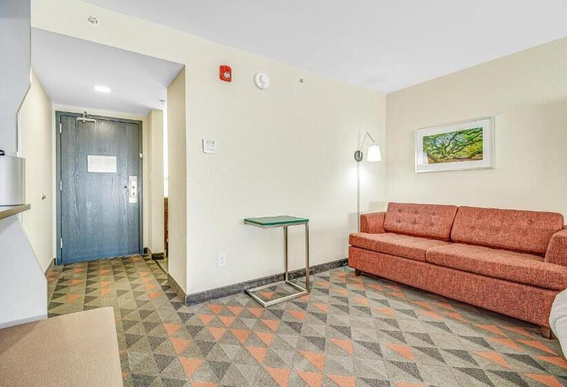 Номер Стандарт, Holiday Inn Spartanburg Northwest