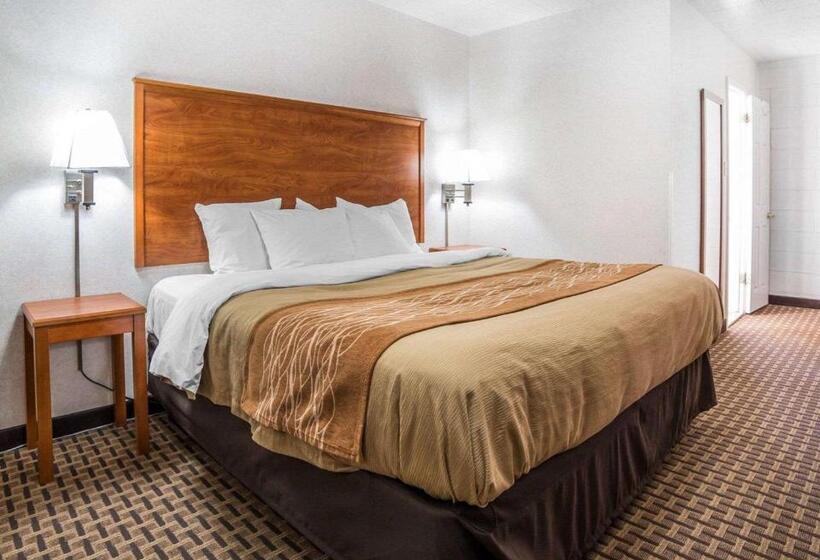 اتاق استاندارد با تخت بزرگ, Rodeway Inn Elko Downtown Area