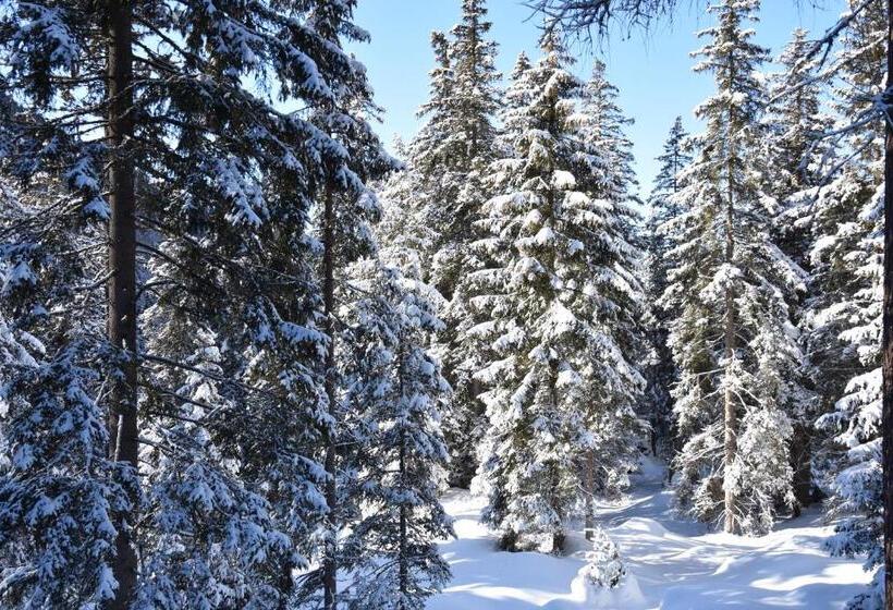Апартаменты 2 Спальни, Chalet & Appartement Zingerlehof Trens