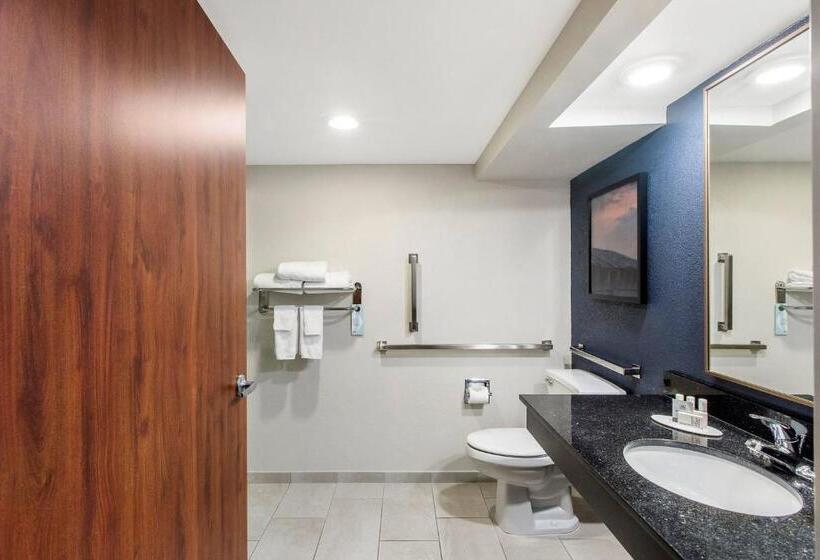 Chambre Standard Lit King Size, Fairfield Inn By Marriott Evansville East