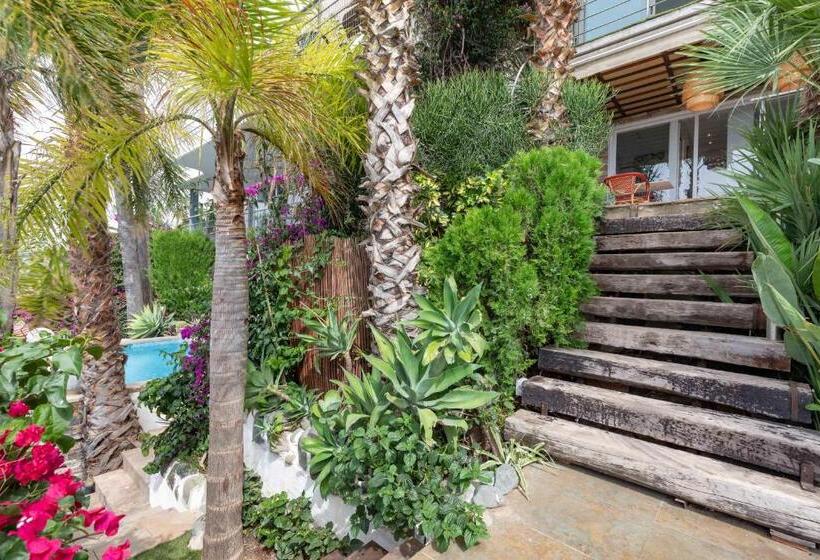 Deluxe Suite Sea View, Condesa Del Mar Adults Only
