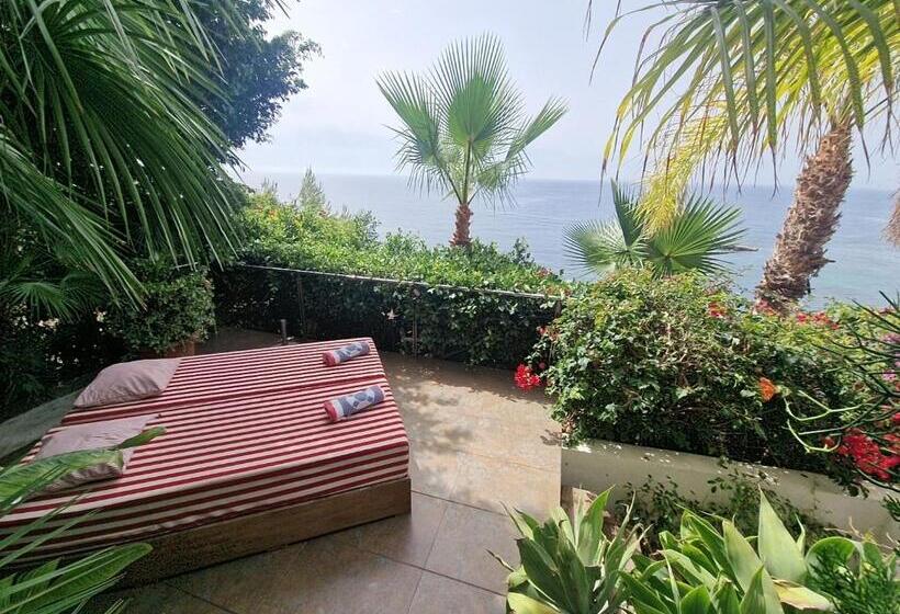 Deluxe Suite Sea View, Condesa Del Mar Adults Only