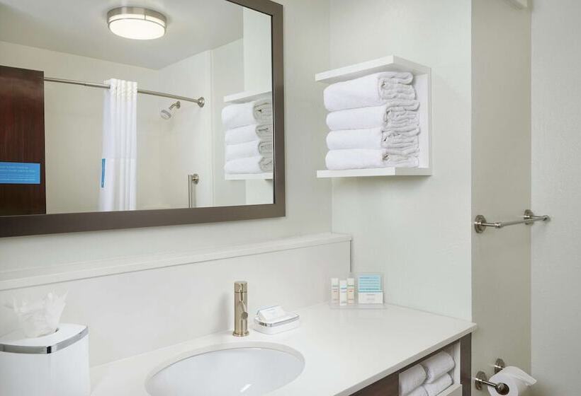 이그제큐티브 룸, Hampton Inn   Jupiter/juno Beach