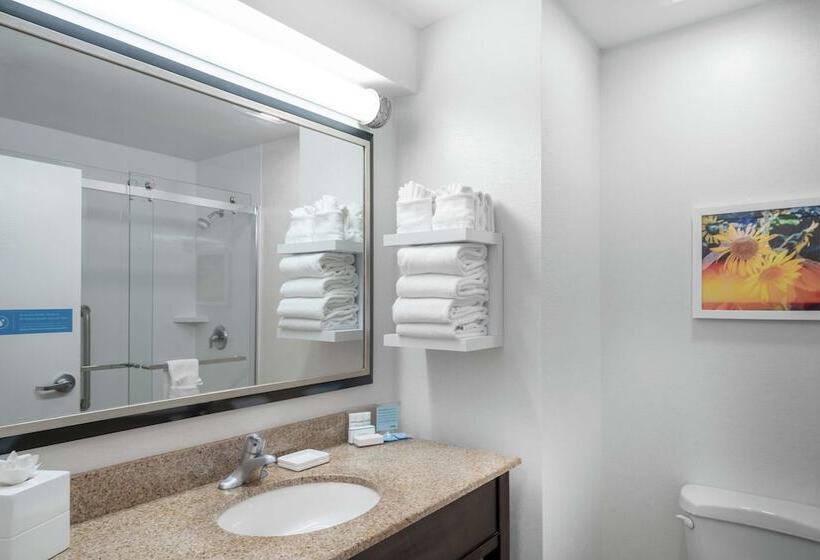 Номер Стандарт Двуспальная Кровать, Hampton Inn & Suites Nashville/franklin