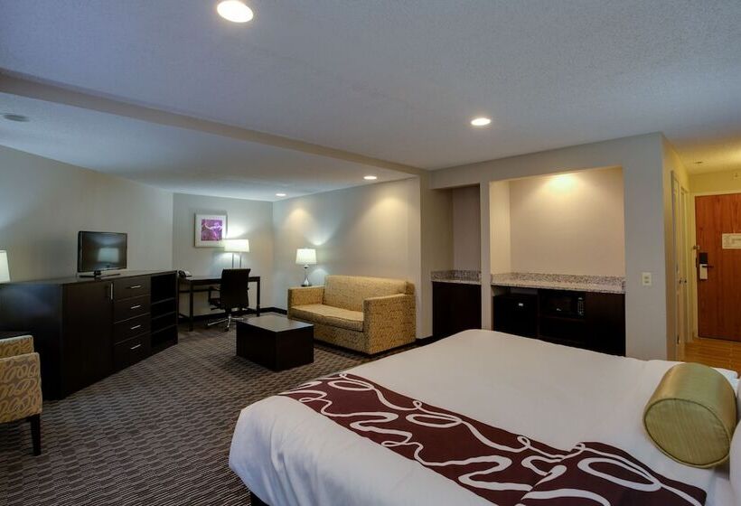 스위트, La Quinta Inn & Suites By Wyndham Detroit Metro Airport