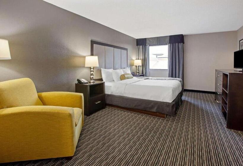 스탠다드 룸 킹사이즈 침대, La Quinta Inn & Suites By Wyndham Detroit Metro Airport