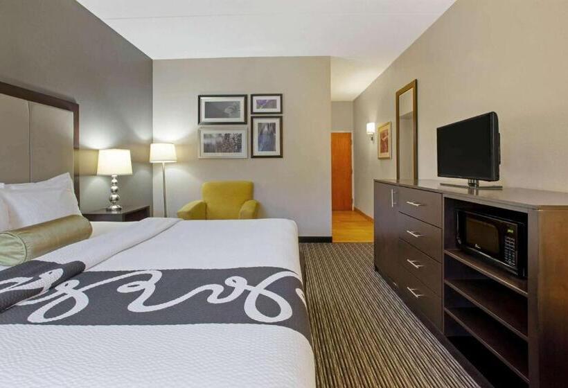 장애인을 위한 킹사이즈 침대 스탠다드 룸, La Quinta Inn & Suites By Wyndham Detroit Metro Airport
