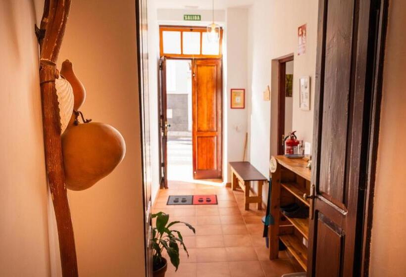 Номер Стандарт 2 Двуспальные Кровати, Tabaiba Guesthouse