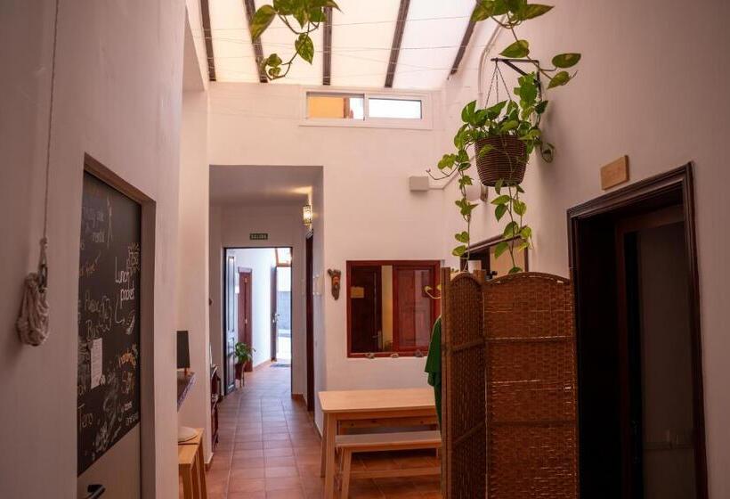 Номер Стандарт Совместная Ванная, Tabaiba Guesthouse