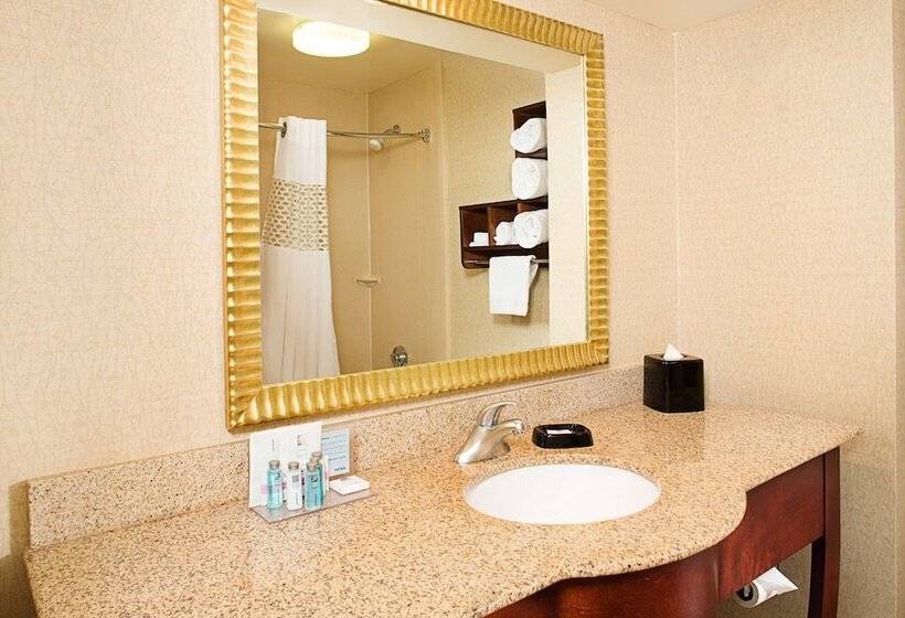 标准间, Hampton Inn Philadelphia / Willow Grove