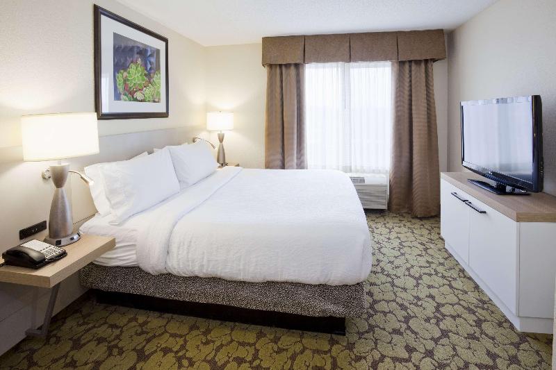 Люкс Кровать Кинг, Hilton Garden Inn Minneapolis Eagan