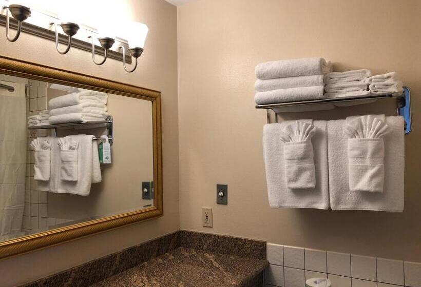 스탠다드 전망 룸, Port Angeles Inn