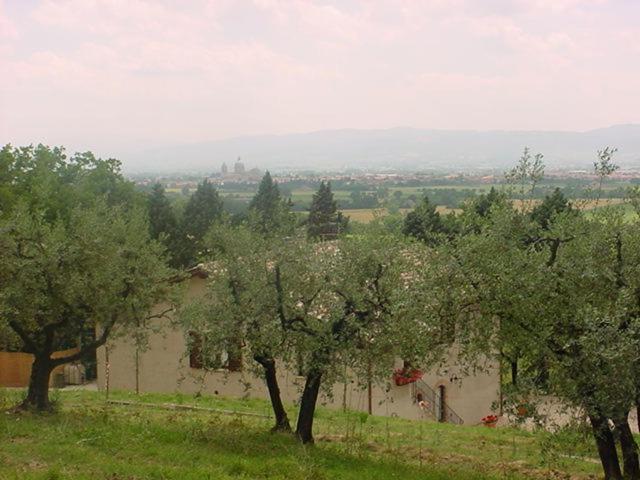 Апартаменты 2 Спальни, Agriturismo La Cantina San Martino