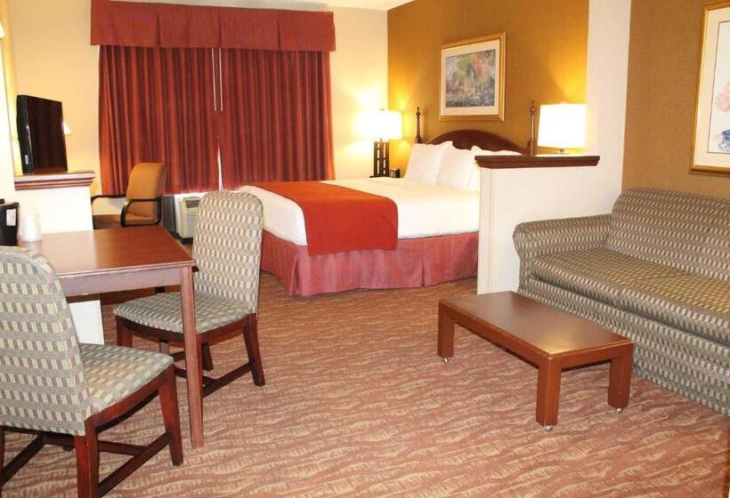 Номер Стандарт Кровать Кинг Адаптированный для Инвалидов, Auburn Place Hotel & Suites Paducah