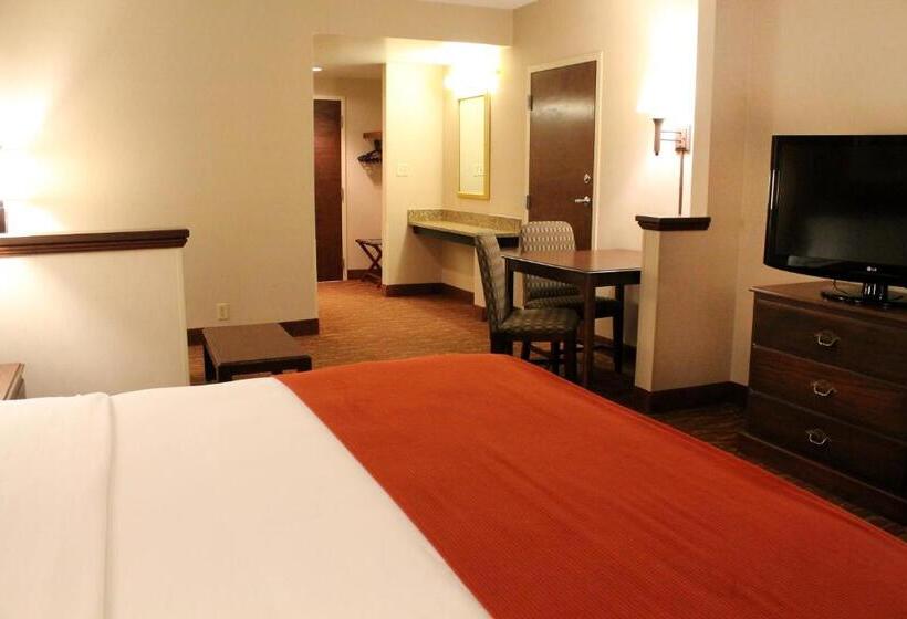 Стандартный Номер Кровать Кинг, Auburn Place Hotel & Suites Paducah