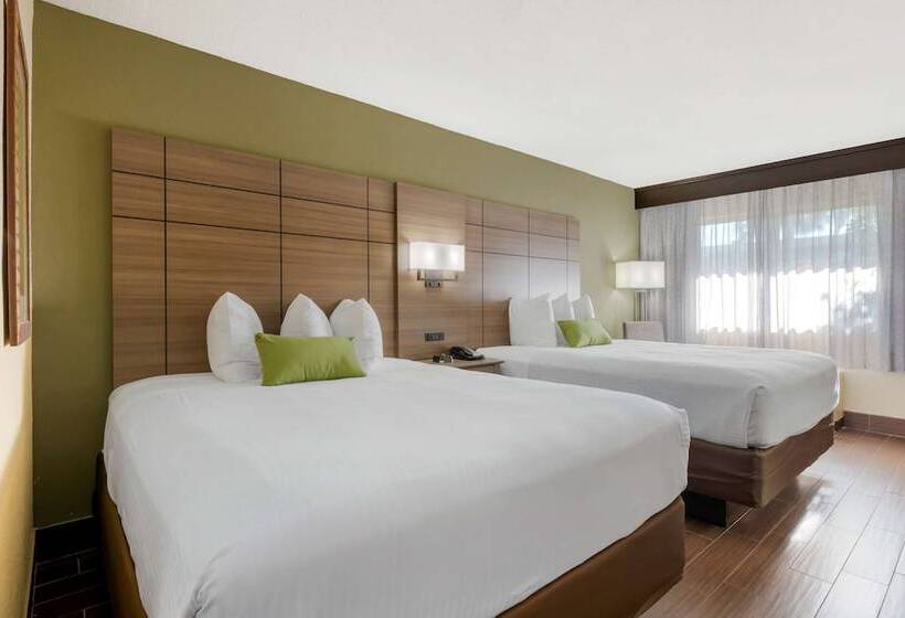 스탠다드 룸 더블 침대 2개, Best Western Downtown Stuart