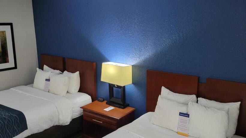 キングサイズベッドのスタンダードルーム, Comfort Inn Alpharettaatlanta North