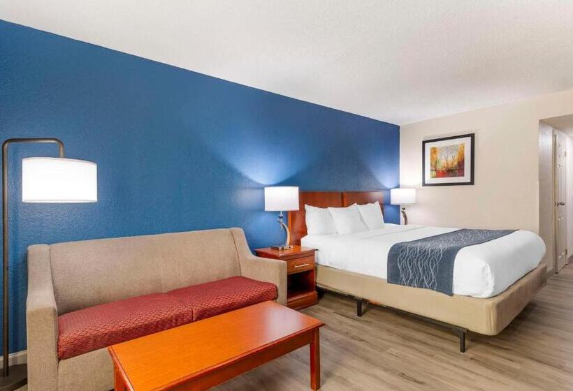 キングサイズベッドのスタンダードルーム, Comfort Inn Alpharettaatlanta North