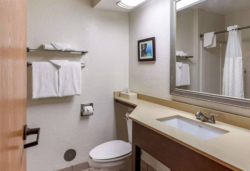 Номер Стандарт 2 Двуспальные Кровати, Comfort Inn Okemos  East Lansing