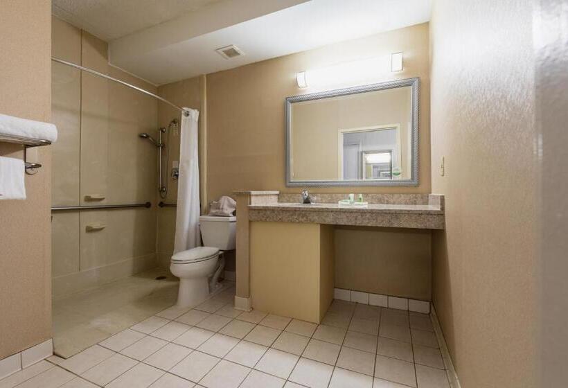 Номер Стандарт Адаптированный для Инвалидов, Holiday Inn South Plainfield Piscataway, An Ihg