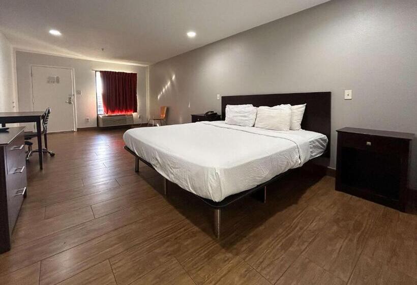 스탠다드 룸 킹사이즈 침대, Motel 6 Denham Springs, La