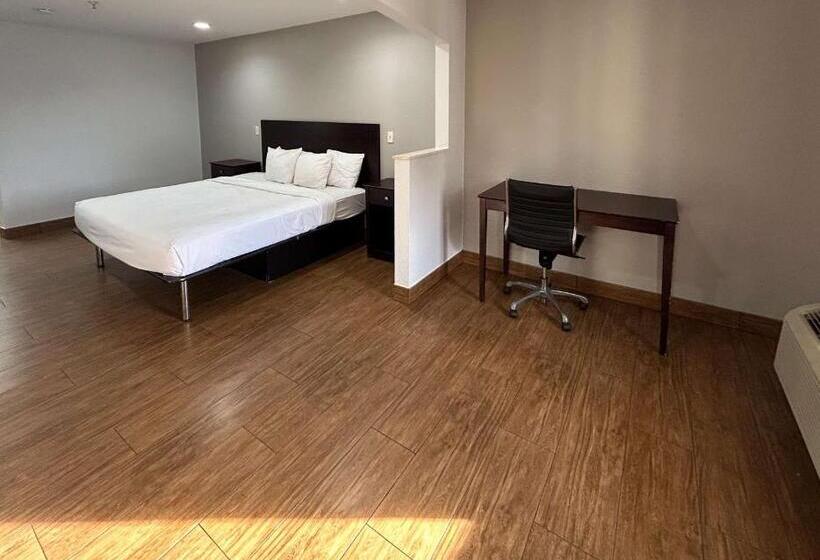 스탠다드 스튜디오 킹침대, Motel 6 Denham Springs, La