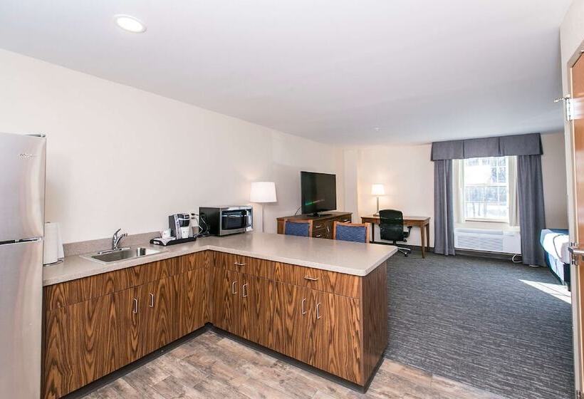 Номер Стандарт 2 Двуспальные Кровати, Surestay Plus Hotel By Best Western Elizabethtown Hershey
