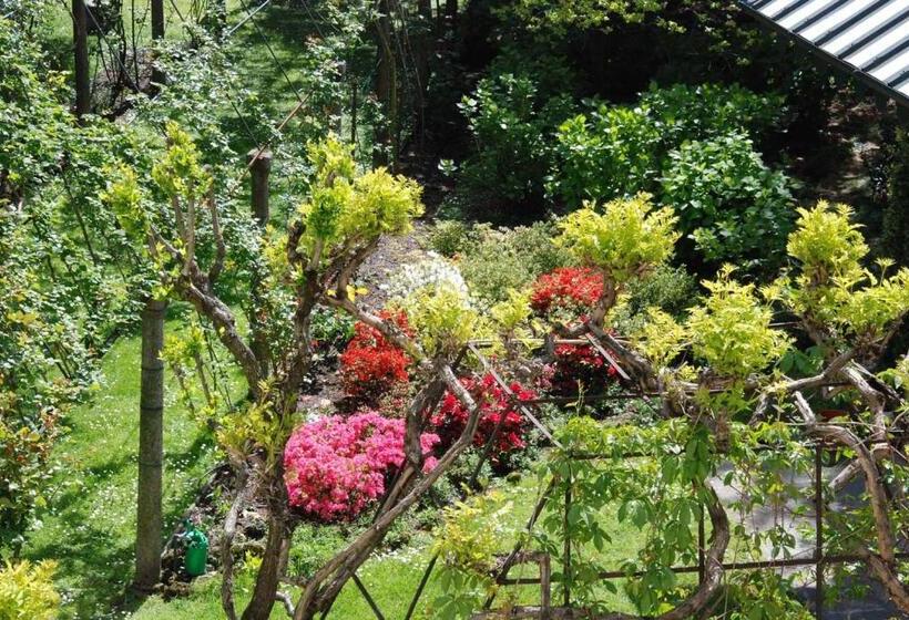 اتاق استاندارد, La Canarina Bed & Breakfast