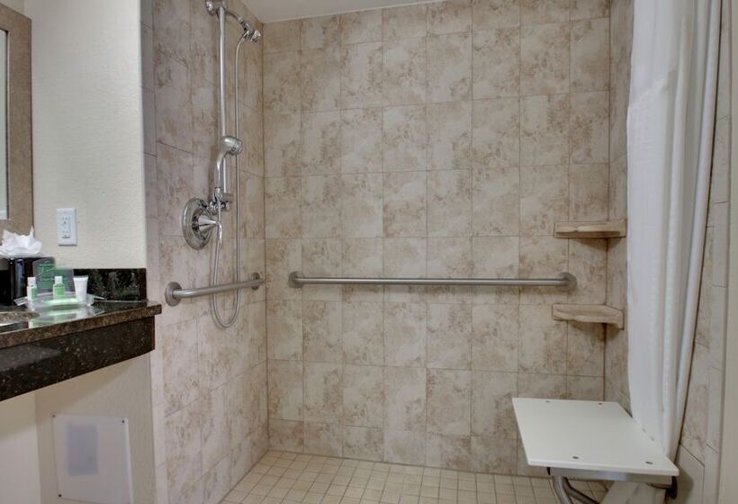 חדר סטנדרט מיטה זוגית, Holiday Inn Resort Orlando   Lake Buena Vista, An Ihg