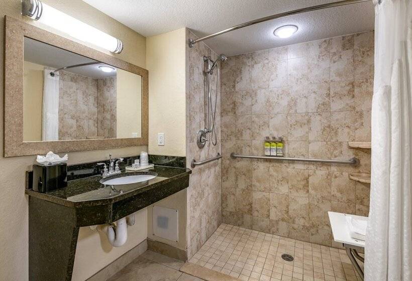 חדר סטנדרט מיטה זוגית, Holiday Inn Resort Orlando   Lake Buena Vista, An Ihg