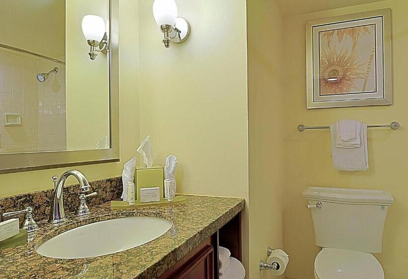 חדר סטנדרט עם מיטת קינג, Courtyard By Marriott Bradenton Sarasota/riverfront