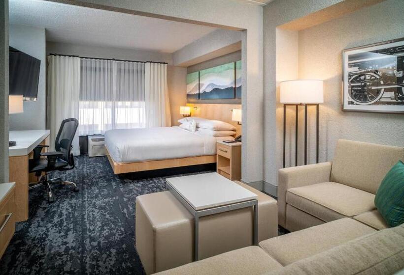 스탠다드 룸 킹사이즈 침대, Delta Hotels By Marriott Huntington Downtown