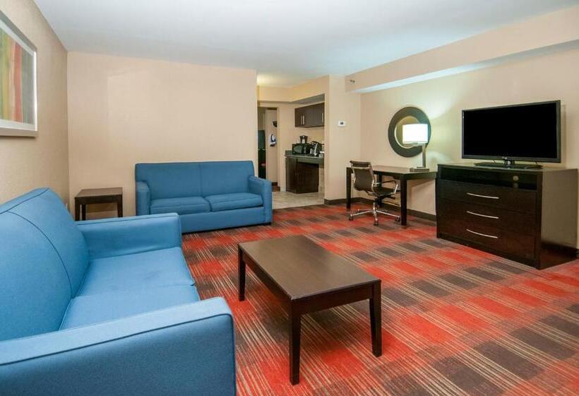 스위트, Holiday Inn Express & Suites Jackson Downtown   Coliseum, An Ihg