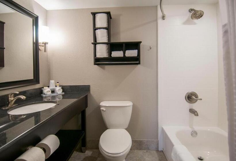 스위트 킹사이즈 침대, Holiday Inn Express & Suites Jackson Downtown   Coliseum, An Ihg