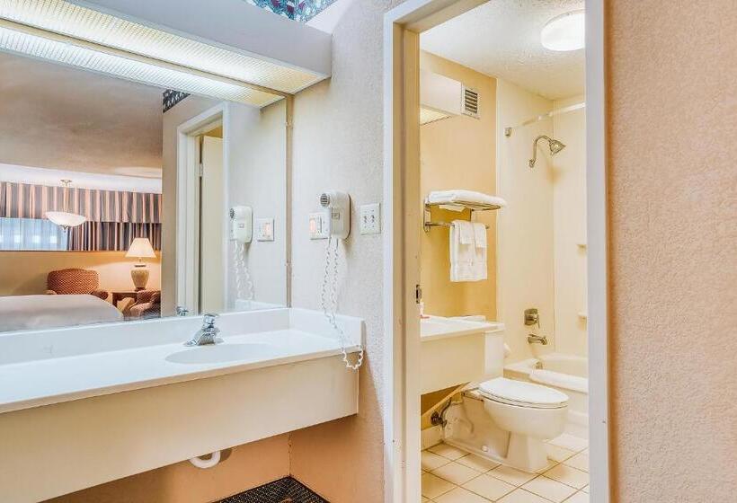 اتاق استاندارد با تخت بزرگ, Oyo Hotel Monroe La I 20