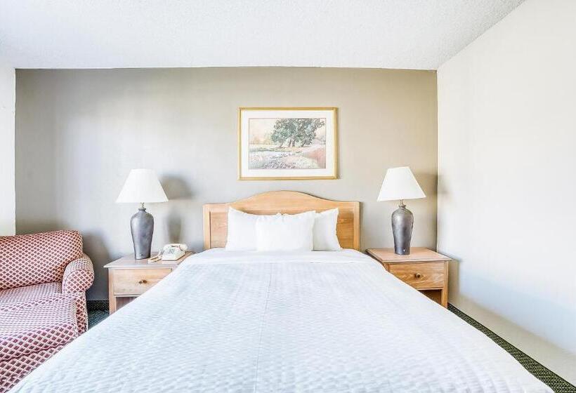 اتاق استاندارد با تخت دو نفره بزرگ برای معلولان, Oyo Hotel Monroe La I 20