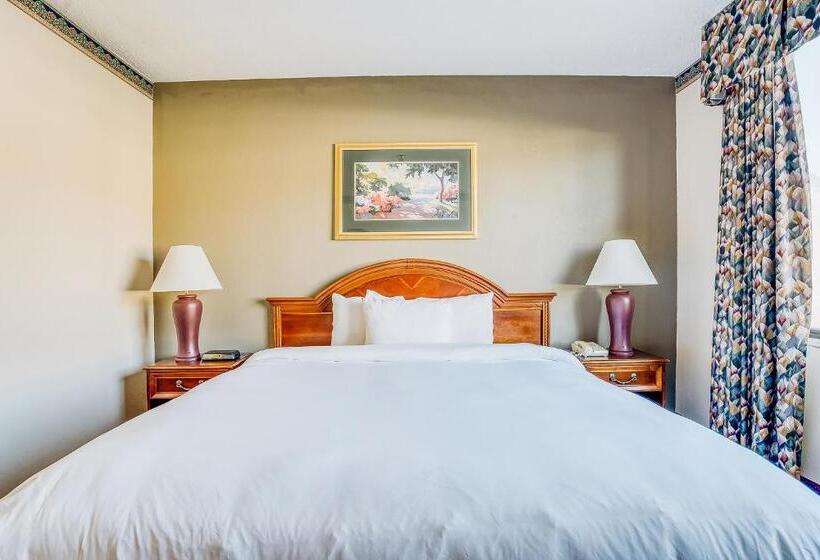 سوییت, Oyo Hotel Monroe La I 20
